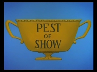 Pest Of Show