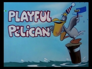 Playful Pelican