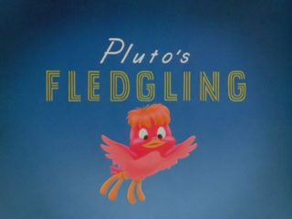 Pluto’s Fledgling