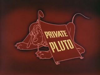 Private Pluto