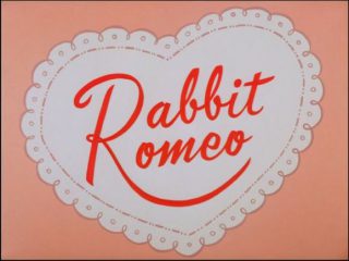 Rabbit Romeo