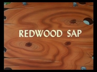 Redwood Sap