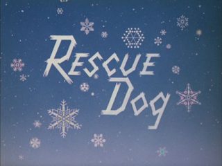 Rescue Dog