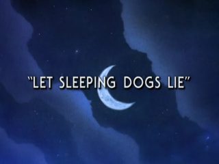 Let Sleeping Dogs Lie