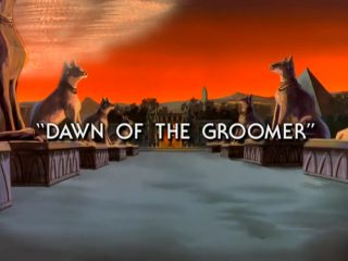 Dawn of The Groomer