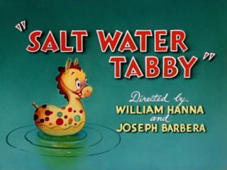 Salt Water Tabby