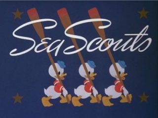 Sea Scouts