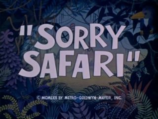 Sorry Safari