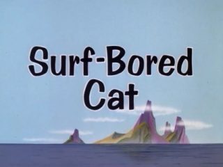 Surf-Bored Cat