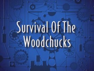 Survival Of The Woodchucks