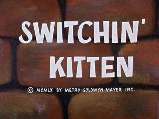 Switchin’ Kitten
