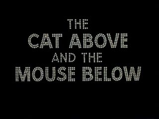 The Cat Above And The Mouse Below