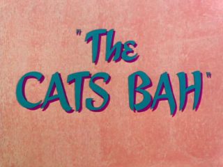 The Cats Bah