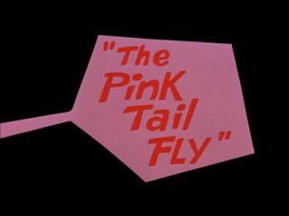 The Pink Tail Fly