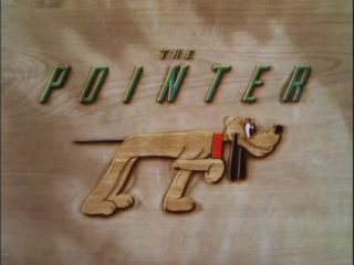 The Pointer