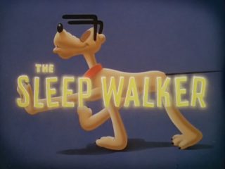 The Sleepwalker