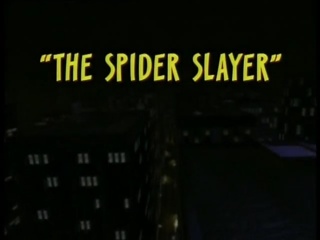 The Spider Slayer