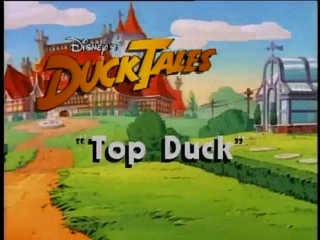 Top Duck