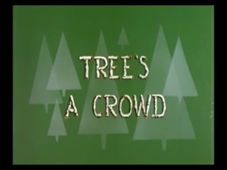 Tree’s A Crowd