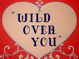 Wild Over You