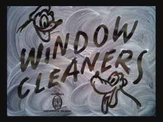 Window Cleaners