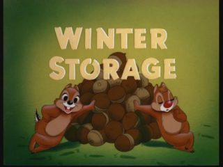 Winter Storage