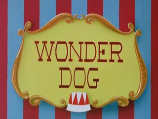 Wonder Dog